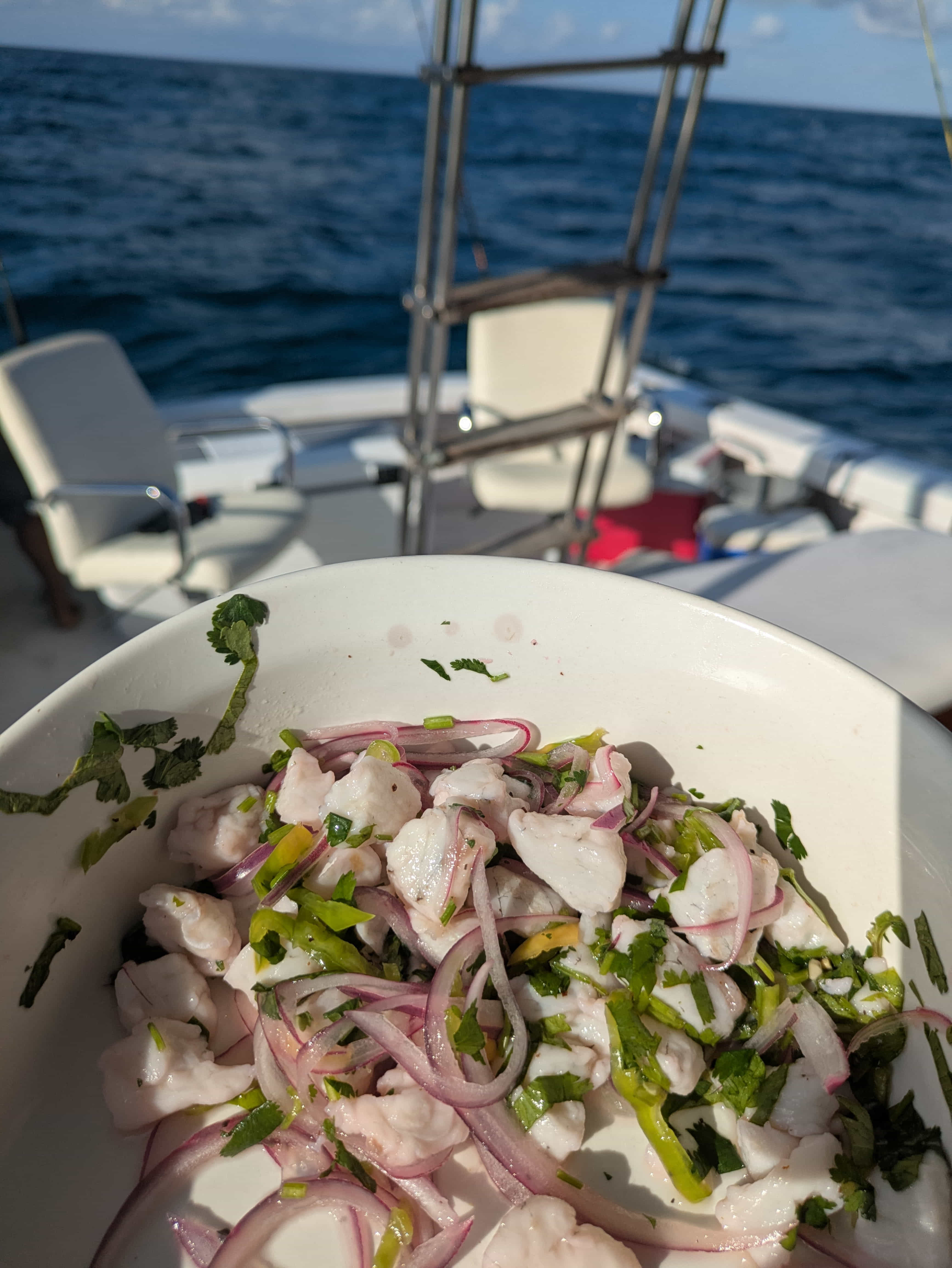 Zarza Expeditions Cancun adventure media 19 PXL_20250427_222721420