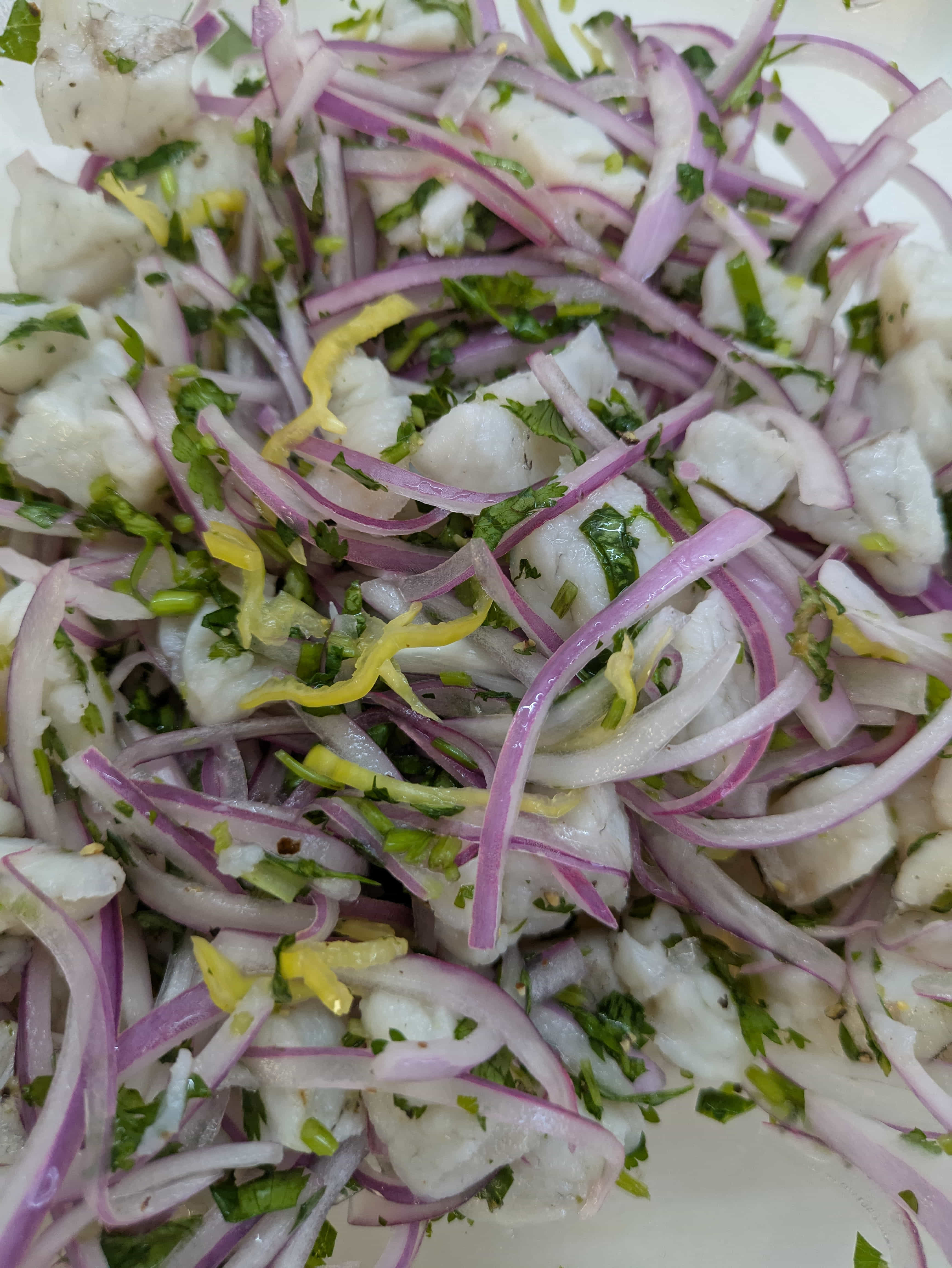 Zarza Expeditions Cancun adventure media 17 PXL_20250428_174532327